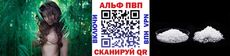 мега как зайти наркошоп Чкаловск сайты даркнета клад А ПВП СК КРИС